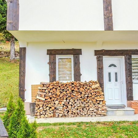 Vikendica Ceperkovic #1 Villa โคเปานิก ภายนอก รูปภาพ