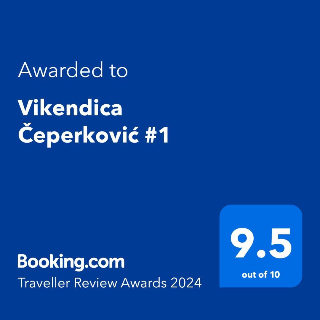 Vikendica Ceperkovic #1 Villa โคเปานิก ภายนอก รูปภาพ
